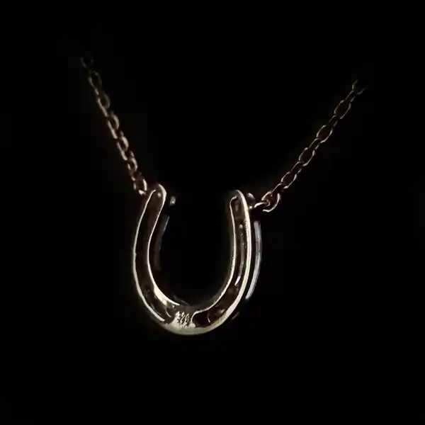 Diamond horse shoe 2 - 1000