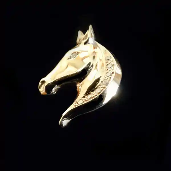 Horse Head 3-1000