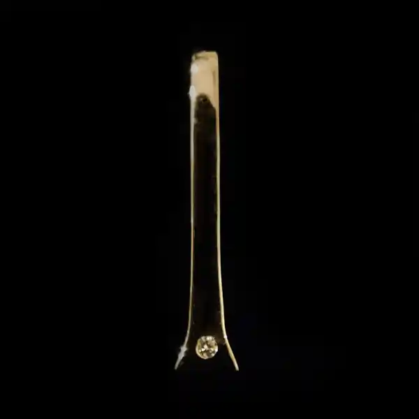Farrier Nail Pendant